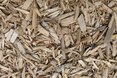 biomass boilers Nyewood